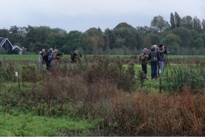 (Driemanspolder). Foto van Johan.
Vogelaars
